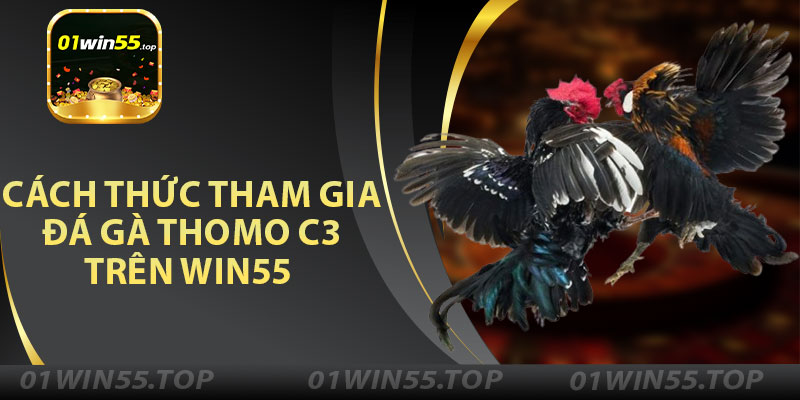 Cách Thức Tham Gia Đá Gà Thomo C3 Trên Win55 