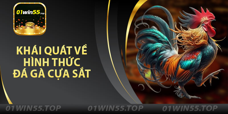 Khái Quát Về Hình Thức Đá Gà Cựa Sắt