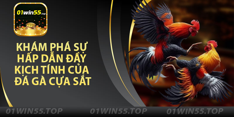 Khám Phá Sự Hấp Dẫn Đầy Kịch Tính Của Đá Gà Cựa Sắt