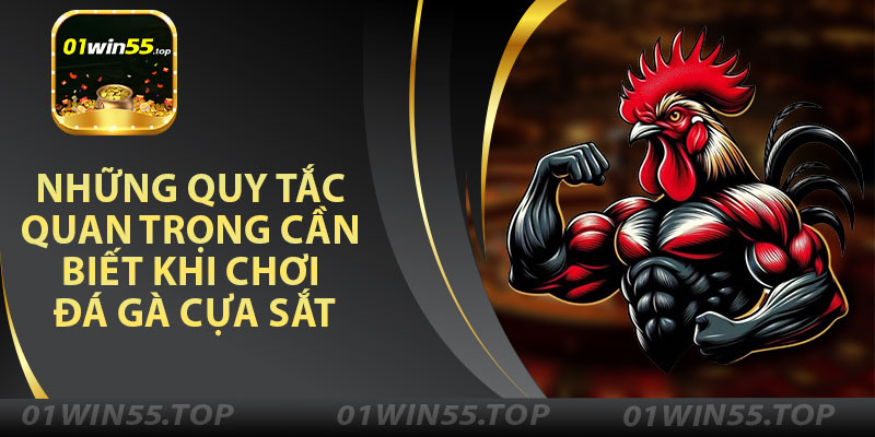 Những Quy Tắc Quan Trọng Cần Biết Khi Chơi Đá Gà Cựa Sắt