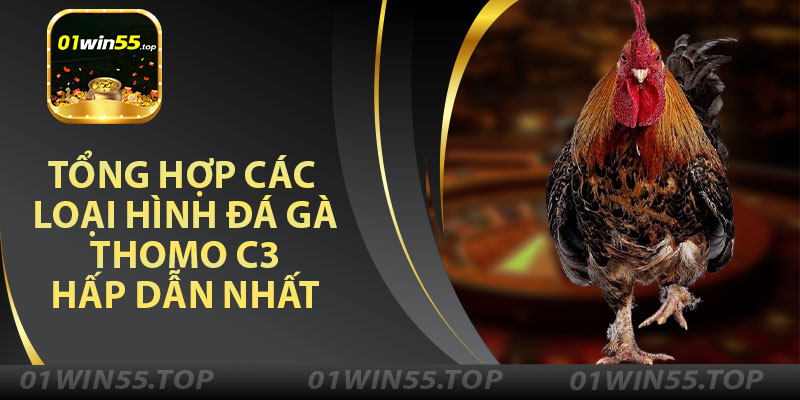Tổng Hợp Các Loại Hình Đá Gà Thomo C3 Hấp Dẫn Nhất