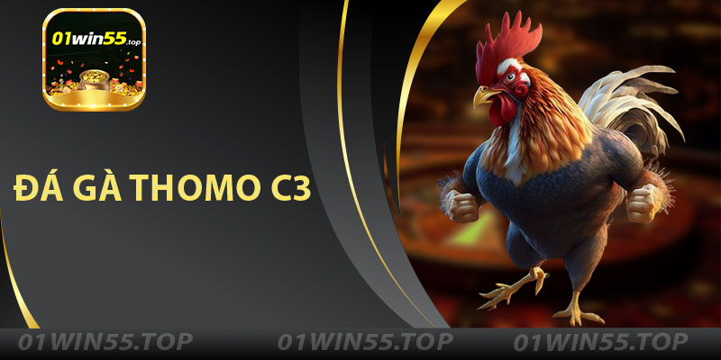 Đá Gà Thomo C3